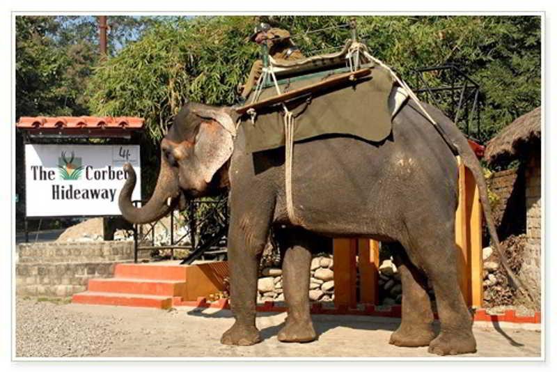 Taj Corbett Resort And Spa Uttarakhand Ramnagar  Esterno foto